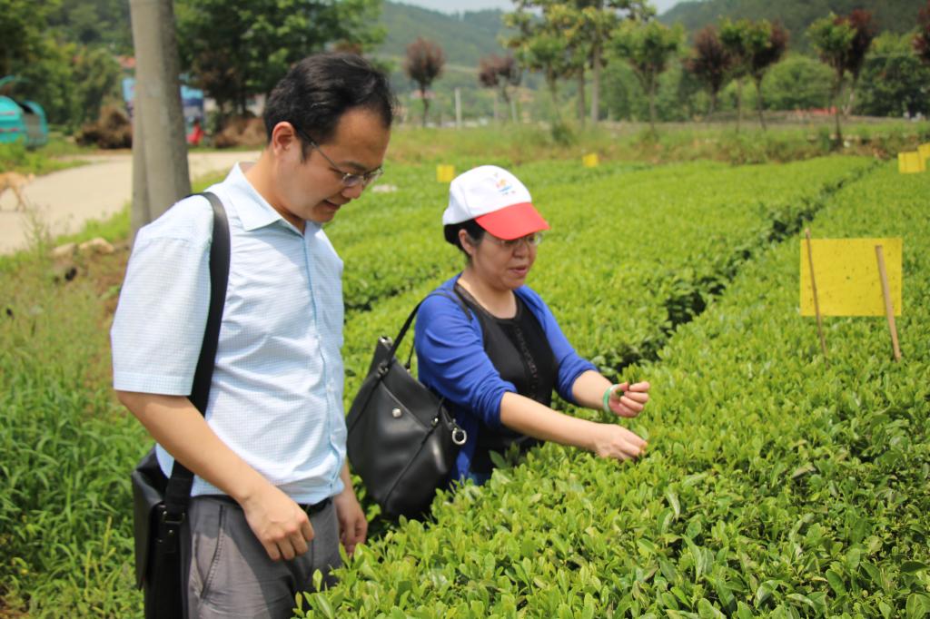 教师进农户，理论下基层——Bwin必赢全体党员教师赴英山县乌云山村学习调研